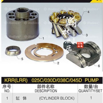 SAAO LRR025, LRL025, KRR025, H199A hydraulic pump parts repair kit repair pump repair