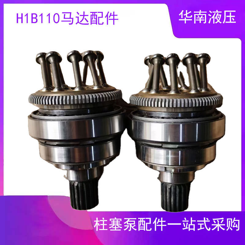 Sao Danfoss H1B110 trenchless horizontal directional drilling rig variable plunger motor Guangzhou repair accessories