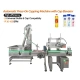 Automatic Press-On Capping Machine with Cap Elevator for Oil, Shampoo & Beverage Bottles