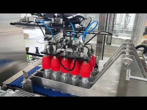 Automatic 2-Axis Delta Robot Case Packer | High-Speed, Flexible Robotic Carton Packing Solution