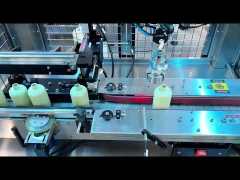 Automatic Delta Robot Capping Machine | Vision Guided Bottle Capper with Precise Torque Control