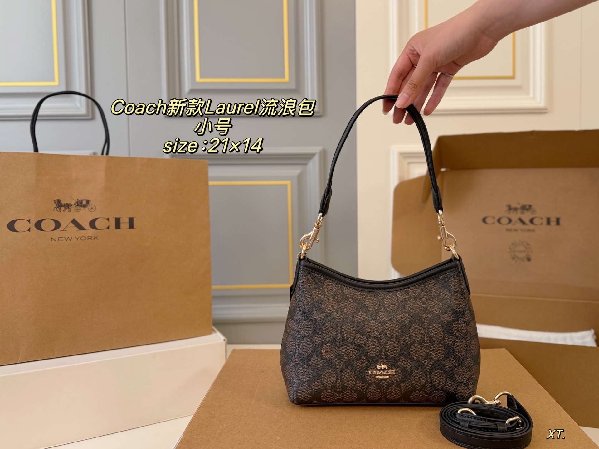 Coach,WATCH SHOP,Coach-WATCH SHOP