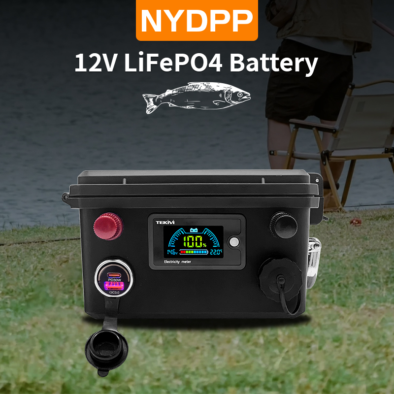 Batterie 24V LiFePO4 100AH 120AH 150AH 200AH avec chargeur 10A
