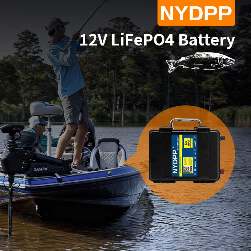 Batterie 24V LiFePO4 100AH 120AH 150AH 200AH avec chargeur 10A