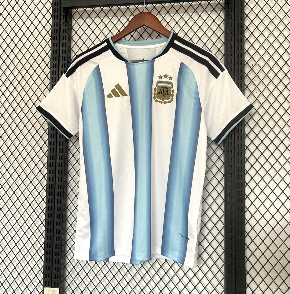 2026 FIFA World Cup Argentina Home Fan version