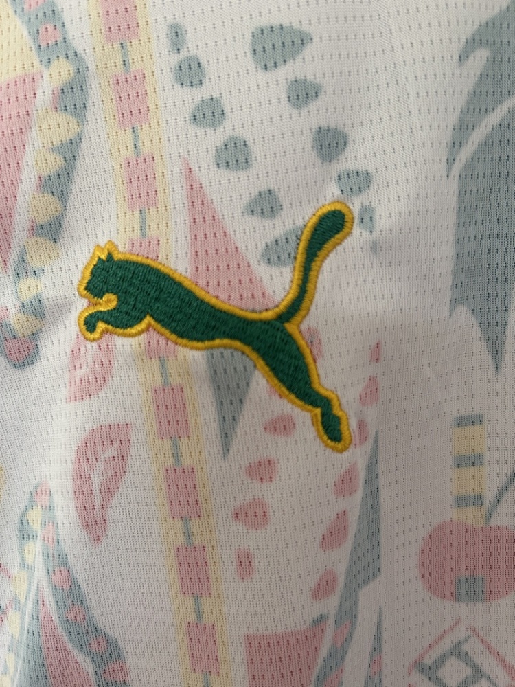 2026 FIFA World Cup Senegal home Fan version
