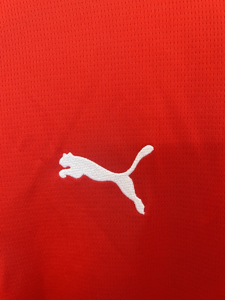 2026 FIFA World Cup Austria home Fan version