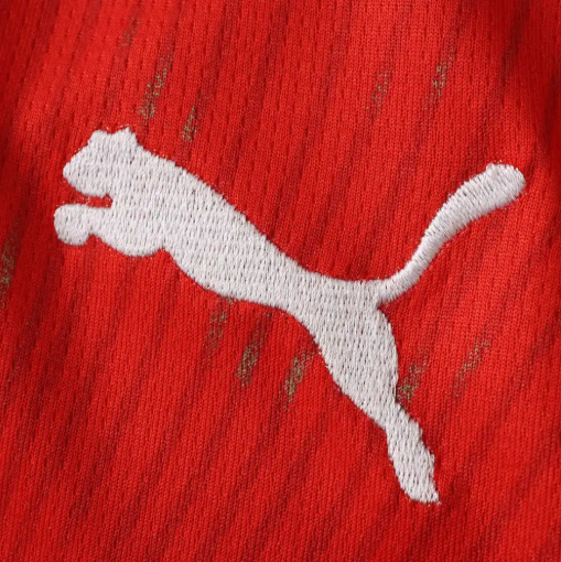 2026 FIFA World Cup Switzerland Home Fan version