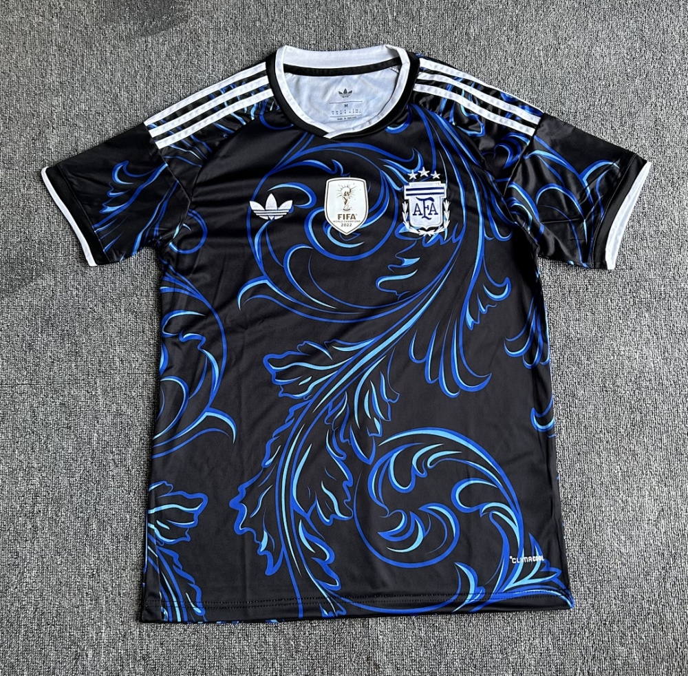 2026 FIFA World Cup Argentina away Fan version