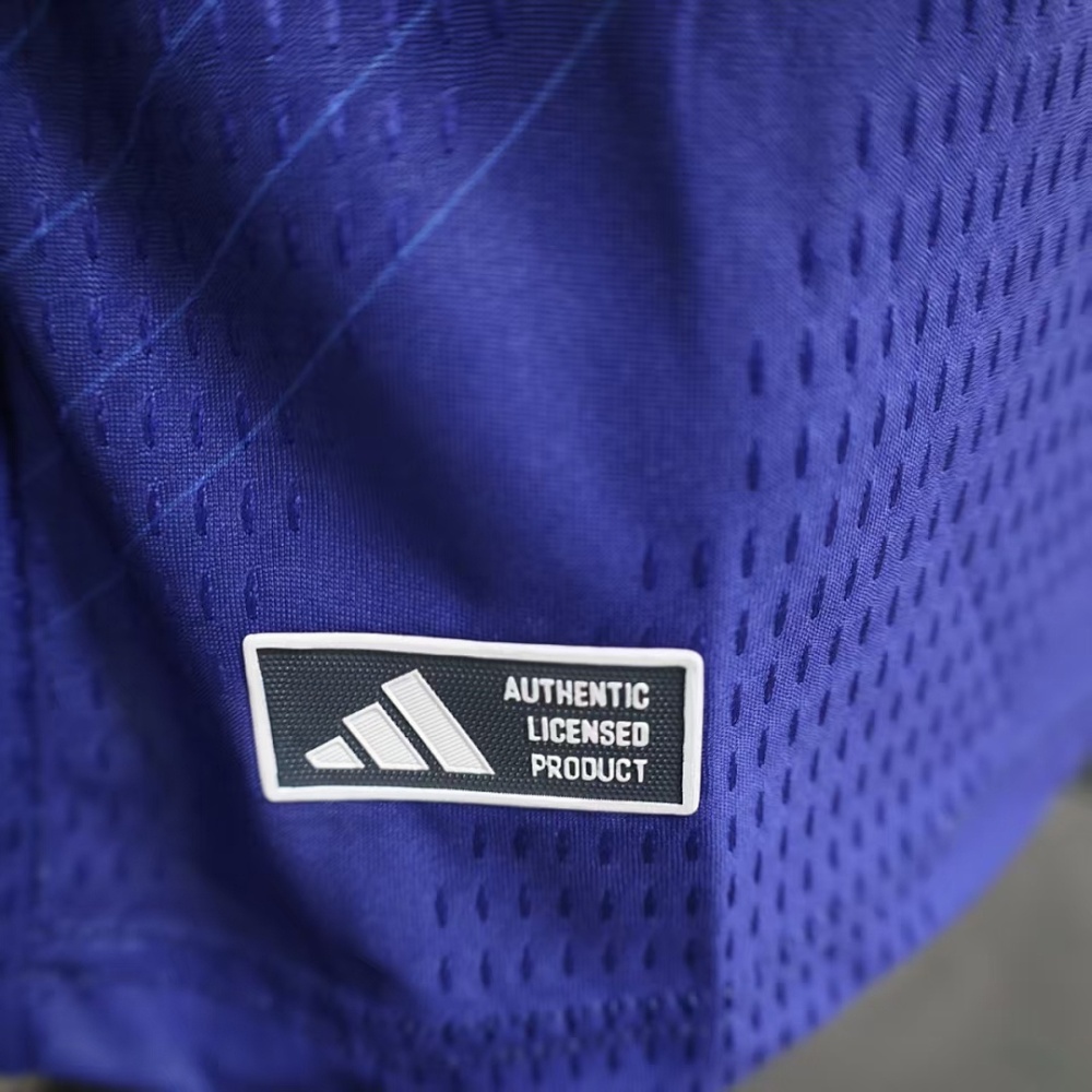 2026 FIFA World Cup Japan home Long sleeved Player version