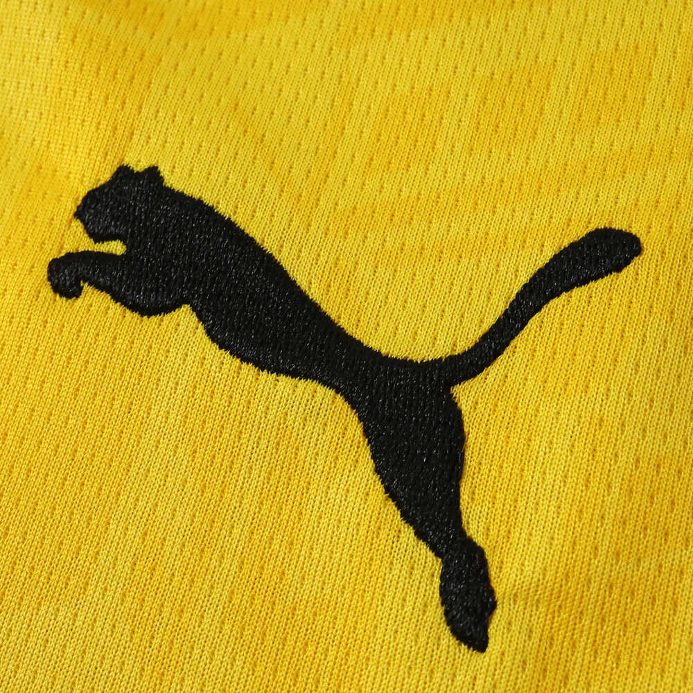 2627 season Borussia Dortmund home Long sleeve Fan version