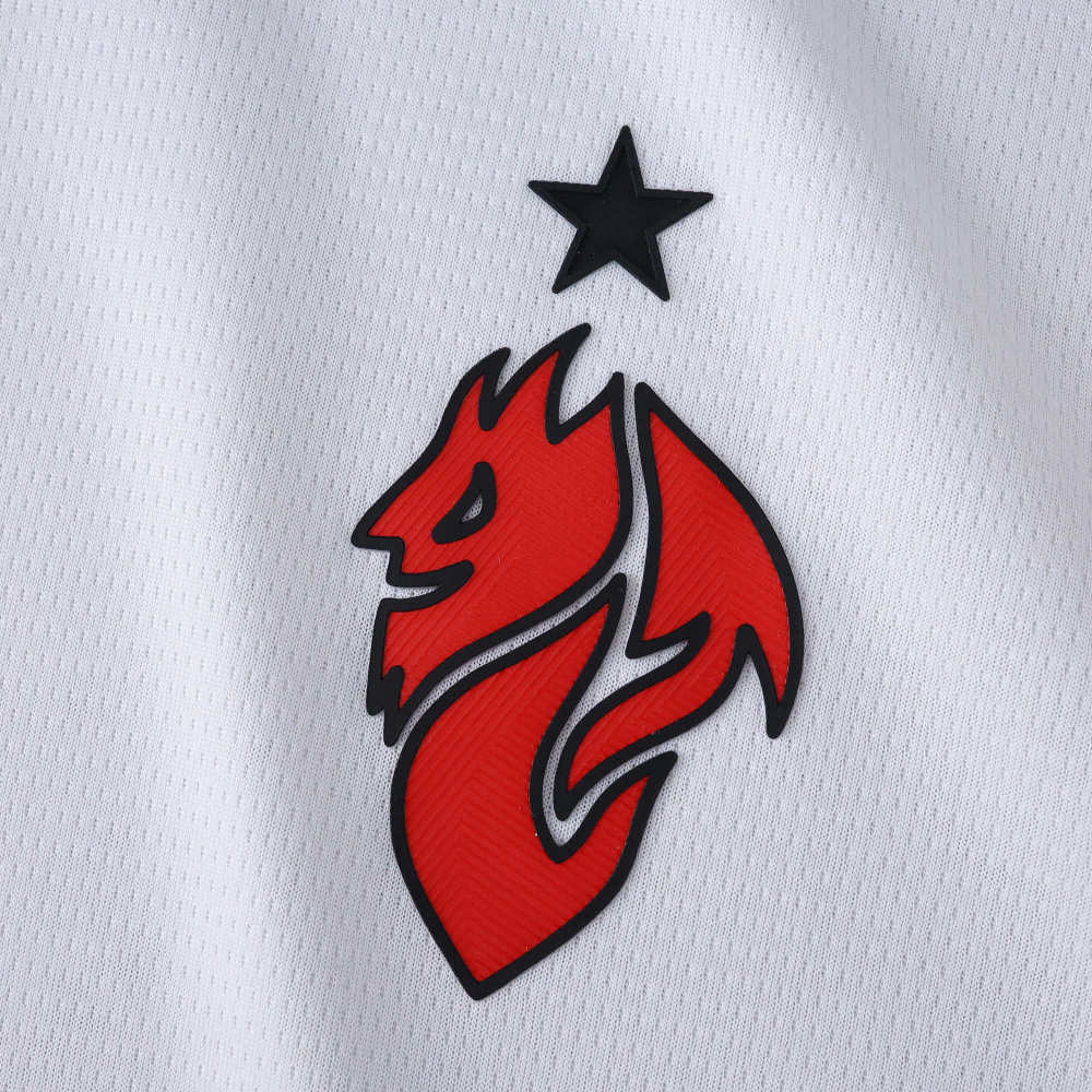 2526 season A.C. Milan away Fan version