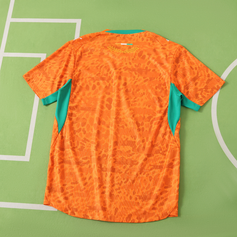 2026 FIFA World Cup Côte d'Ivoire home Player version
