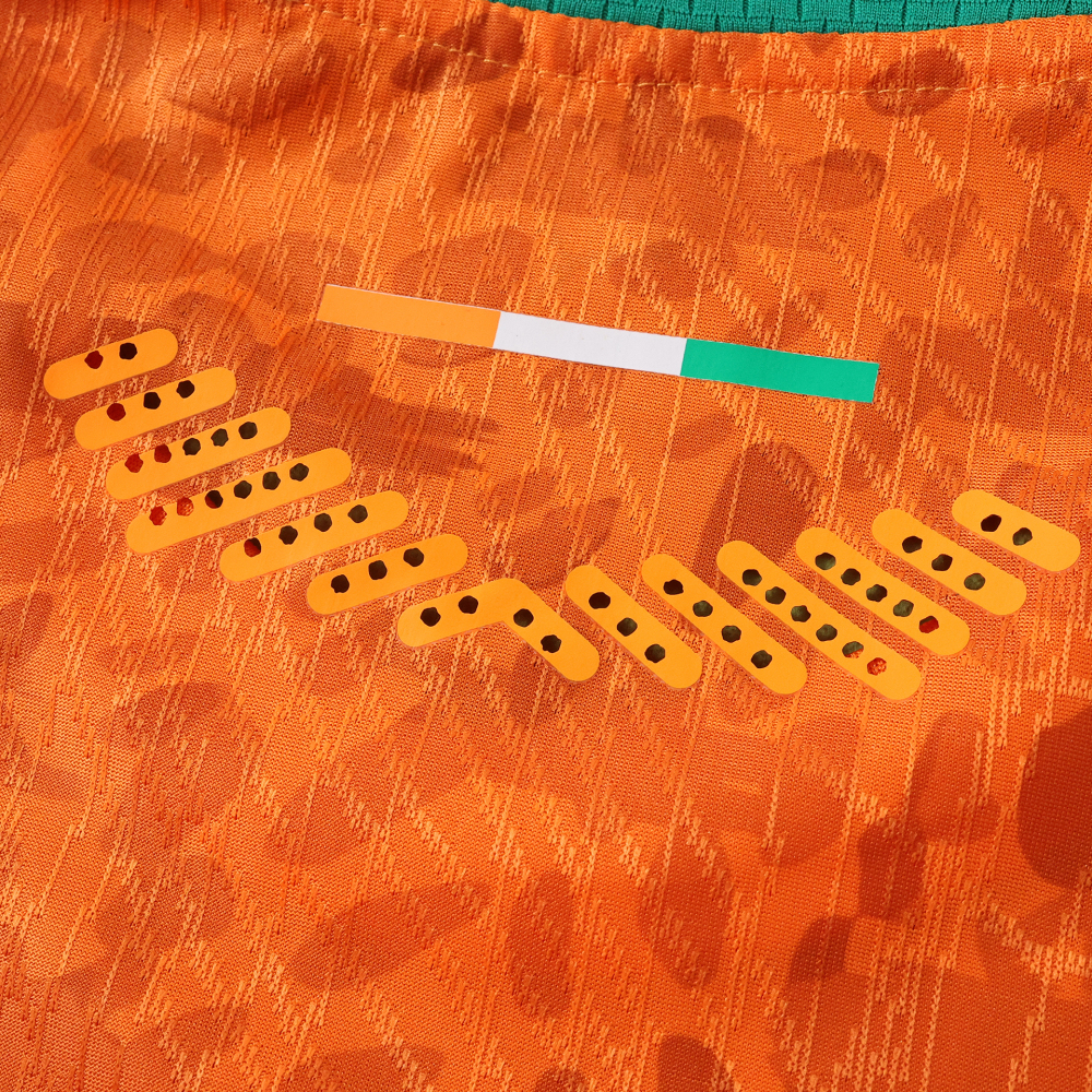 2026 FIFA World Cup Côte d'Ivoire home Player version