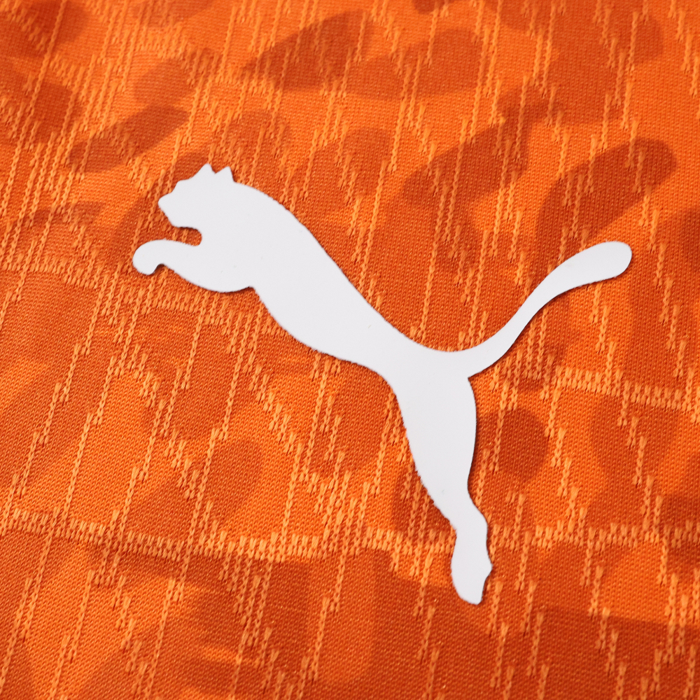 2026 FIFA World Cup Côte d'Ivoire home Player version