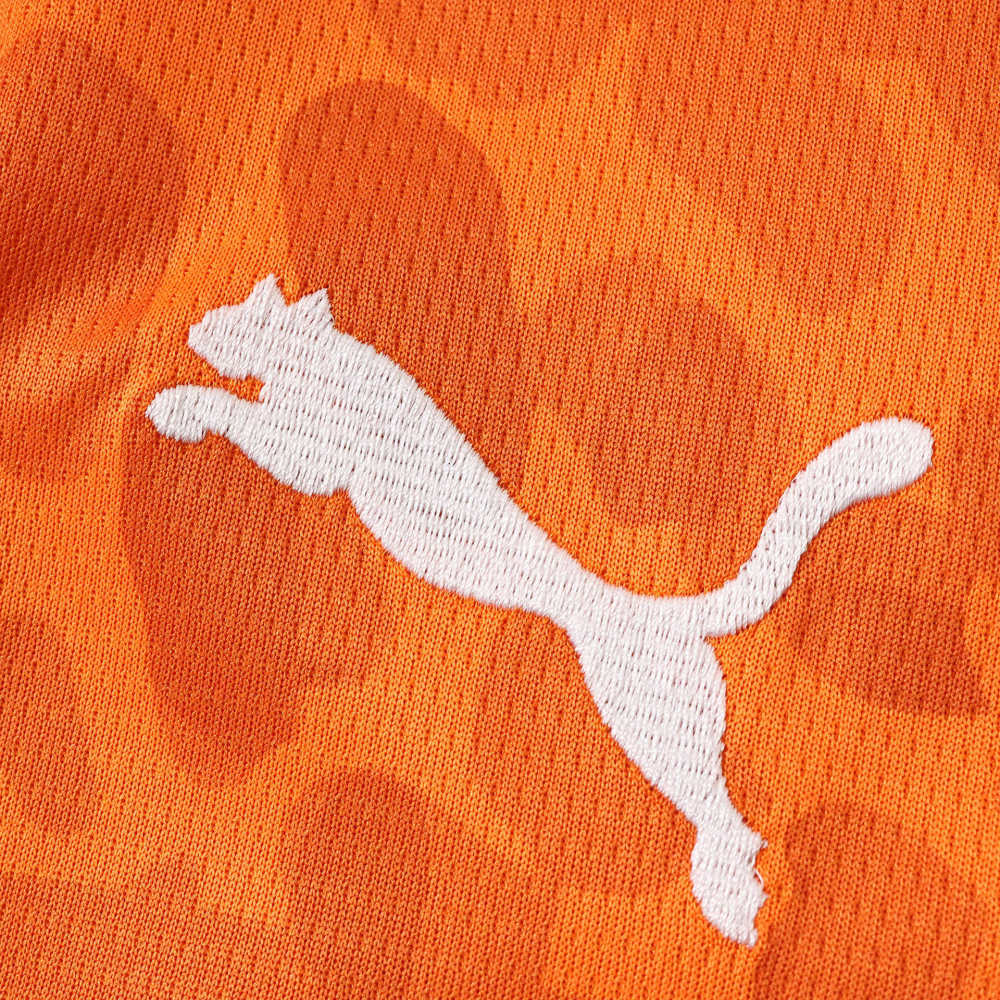 2026 FIFA World Cup Côte d'Ivoire home Fan version