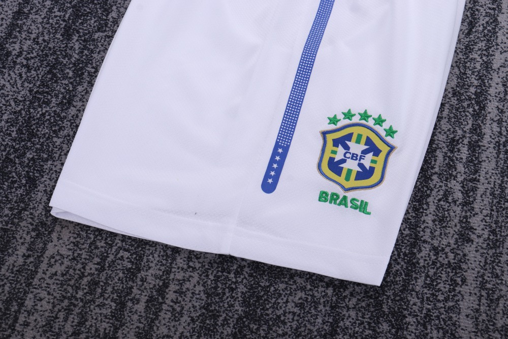 2010 season Brazil kids away