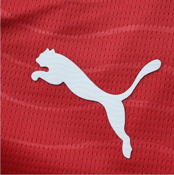 2026 FIFA World Cup Portugal home Long sleeved Fan version