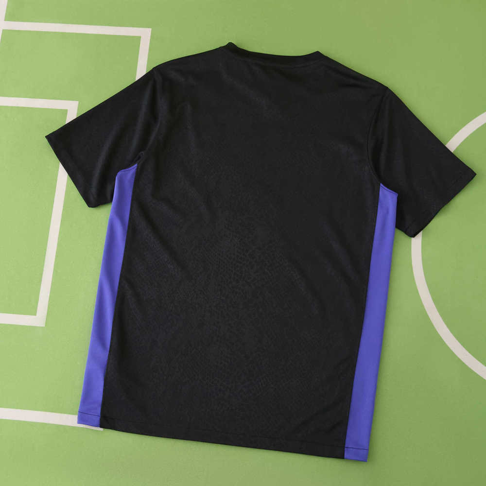 2526 season FC Barcelona / Barça Concept version Fan version