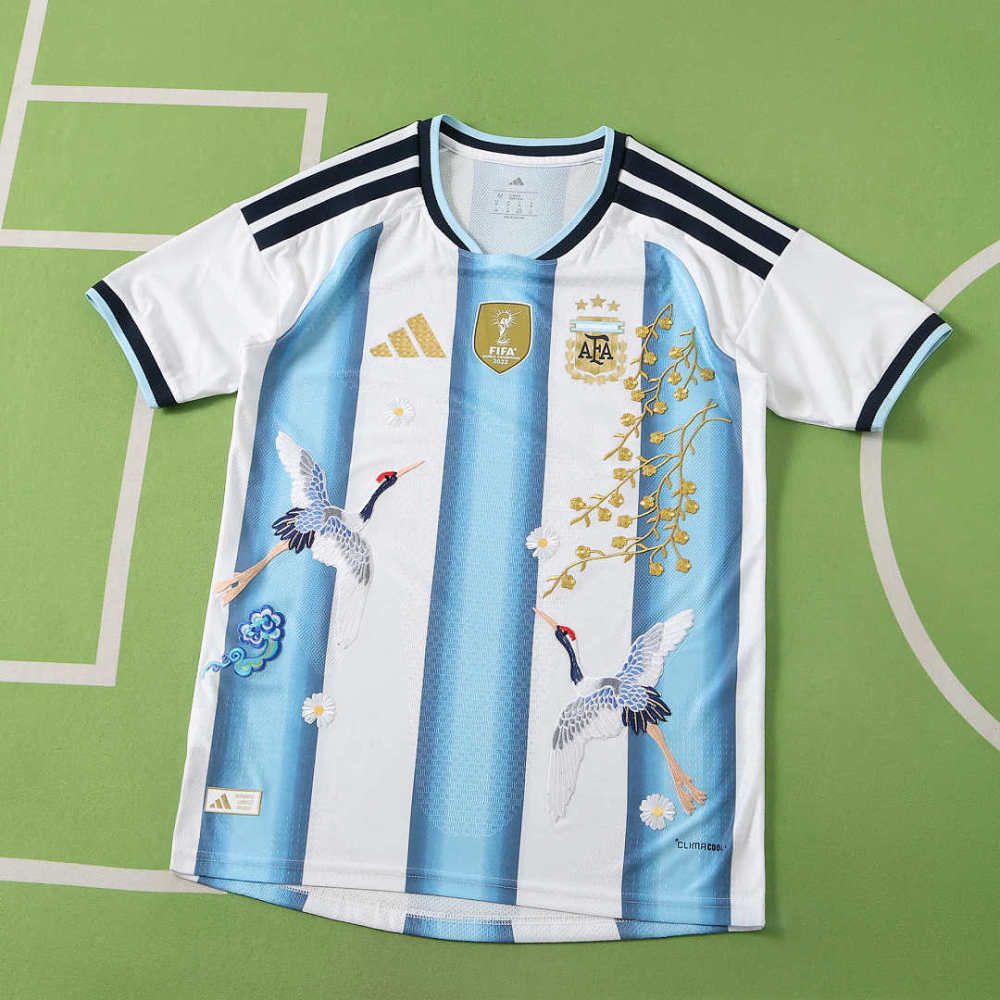 2026 FIFA World Cup Argentina home Embroidery Player version