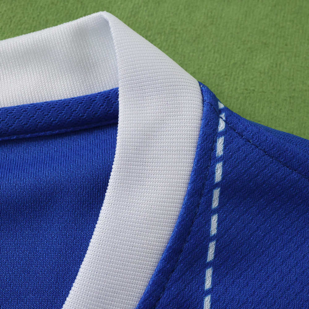 2627 season Brighton & Hove Albion F.C. home Fan version