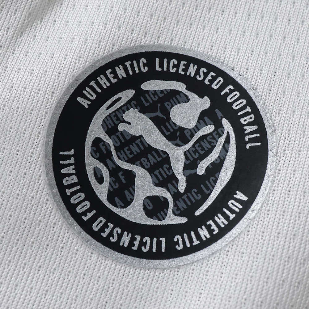 2627 season C.F. Monterrey away Fan version