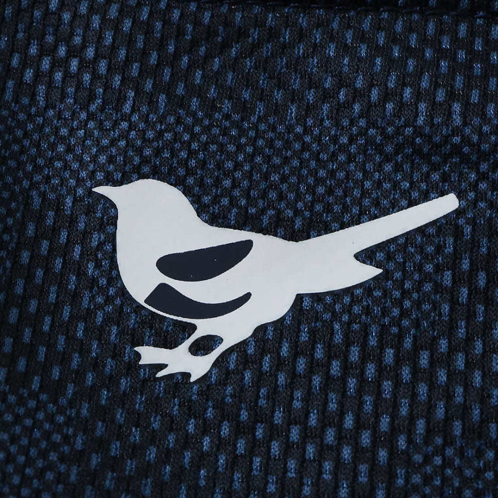 2627 season Newcastle United F.C. away Fan version
