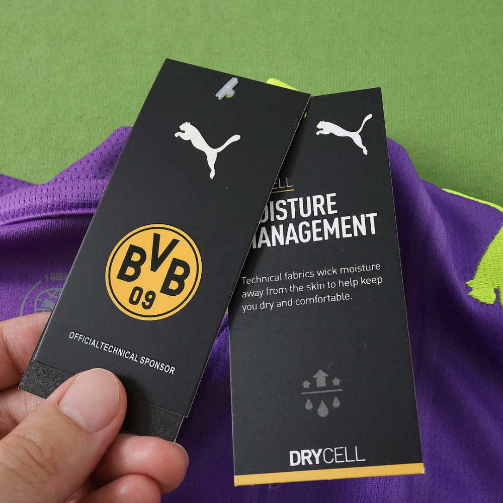 2627 season Borussia Dortmund third Fan version