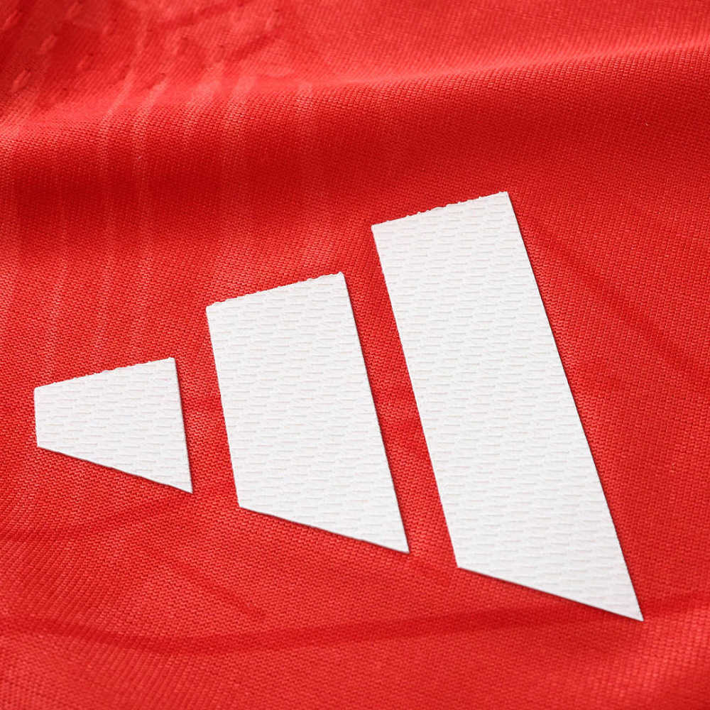 2627 season S.L. Benfica home Player version