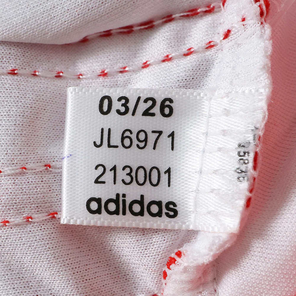 2627 season S.L. Benfica away Fan version