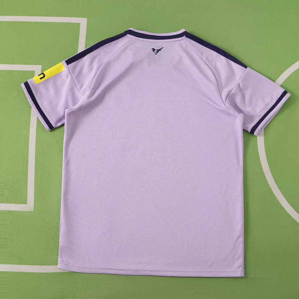 2627 season Newcastle United F.C. third Fan version