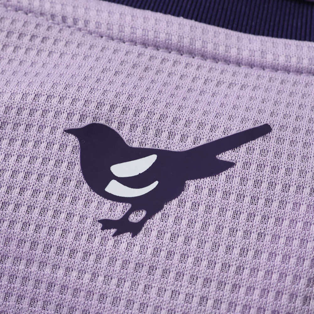 2627 season Newcastle United F.C. third Fan version