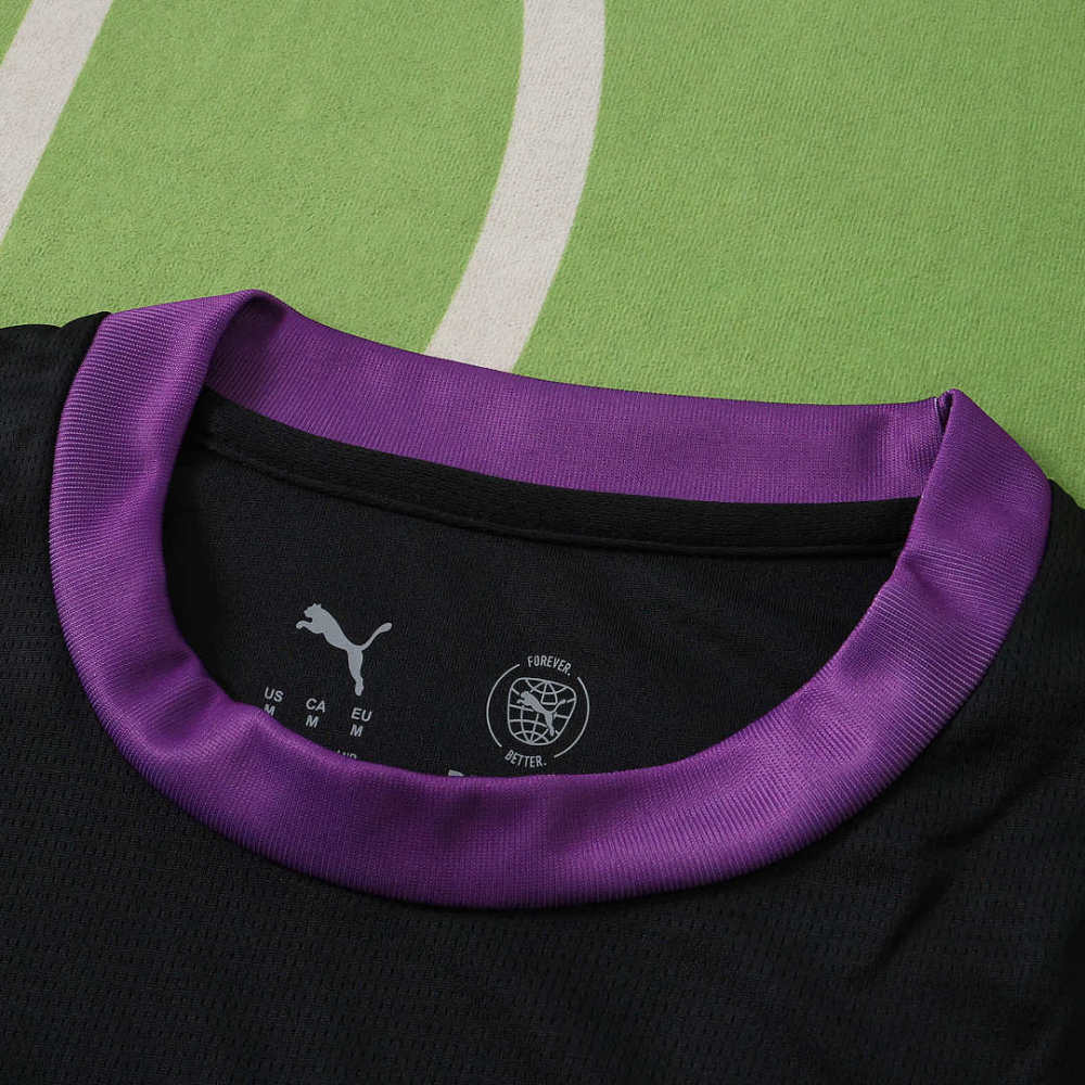 2627 season Galatasaray S.K. third Fan version