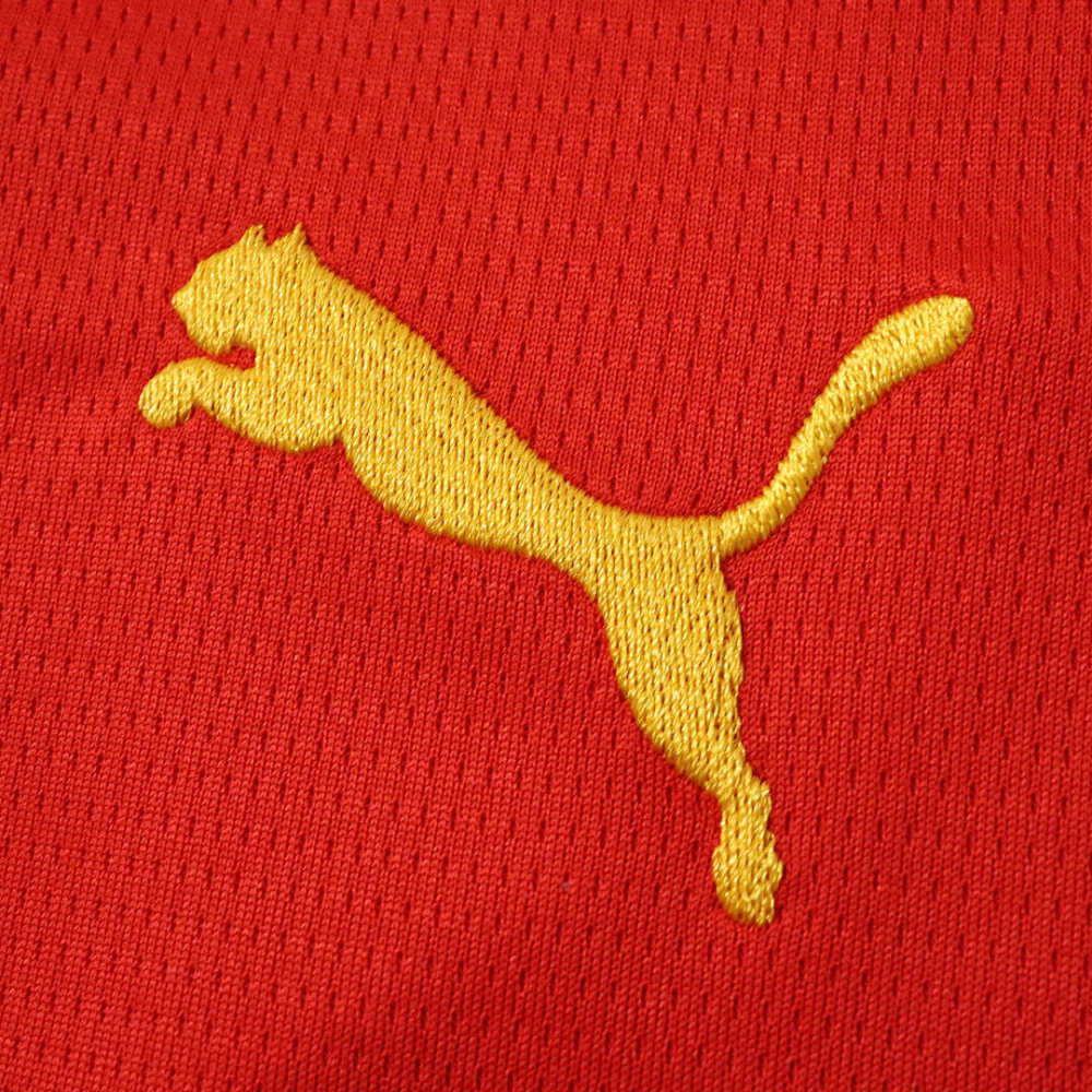 2627 season Galatasaray S.K. Concept version Fan version