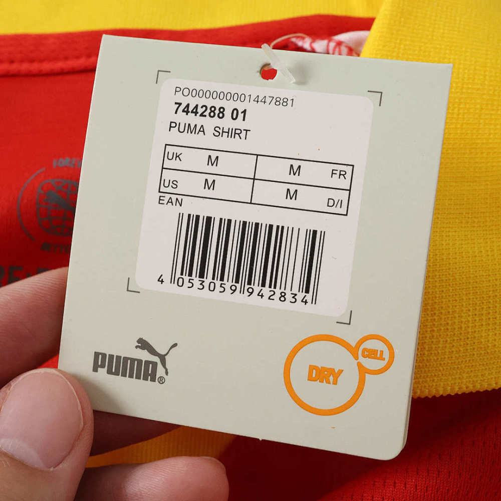 2627 season Galatasaray S.K. Concept version Fan version