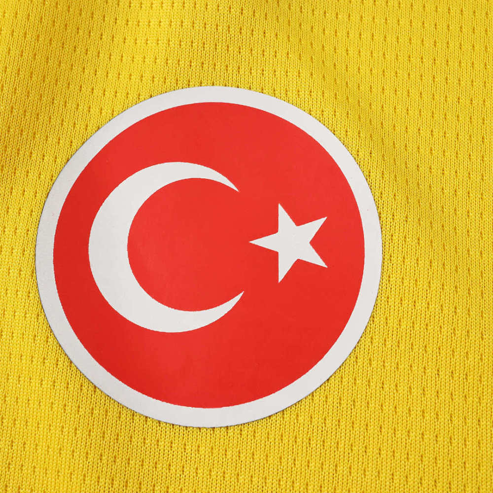 2627 season Galatasaray S.K. Concept version Fan version