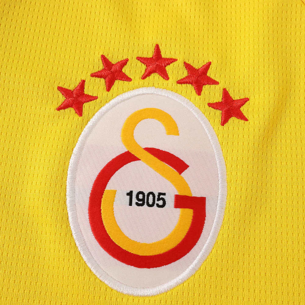 2627 season Galatasaray S.K. Concept version Fan version