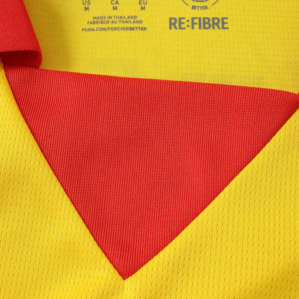2627 season Galatasaray S.K. Concept version Fan version