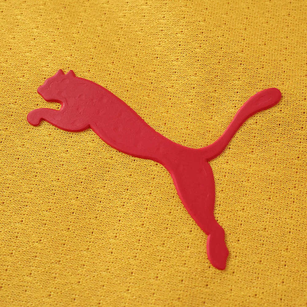 2627 season Galatasaray S.K. home Player version