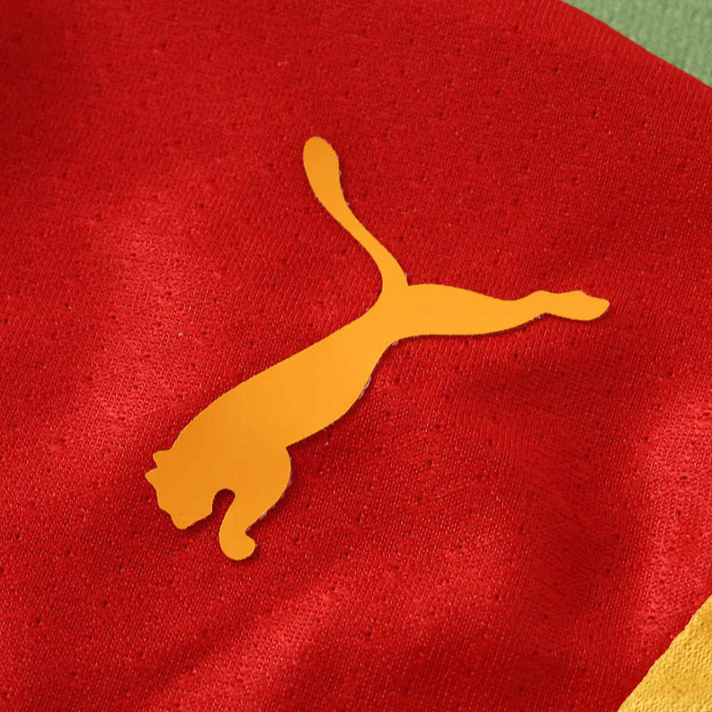 2627 season Galatasaray S.K. home Player version