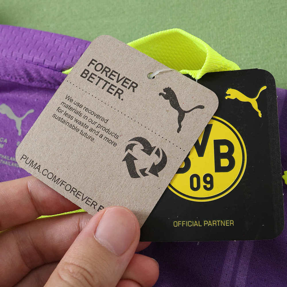 2627 season Borussia Dortmund third Player version