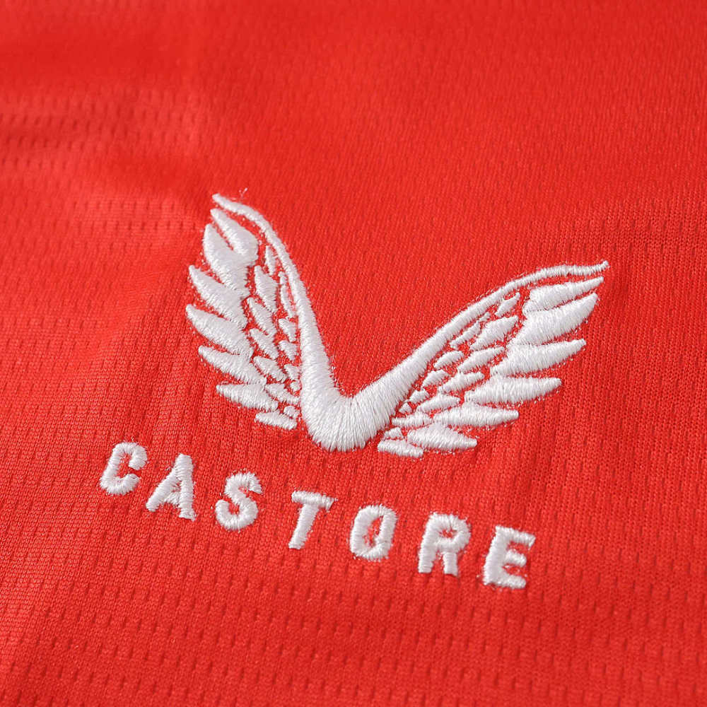 2627 season Feyenoord home Fan version