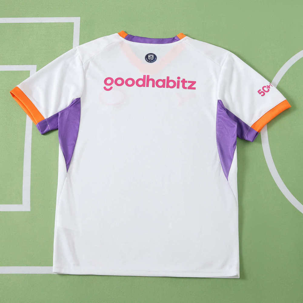 2627 season Eindhoven football club PSV away Fan version