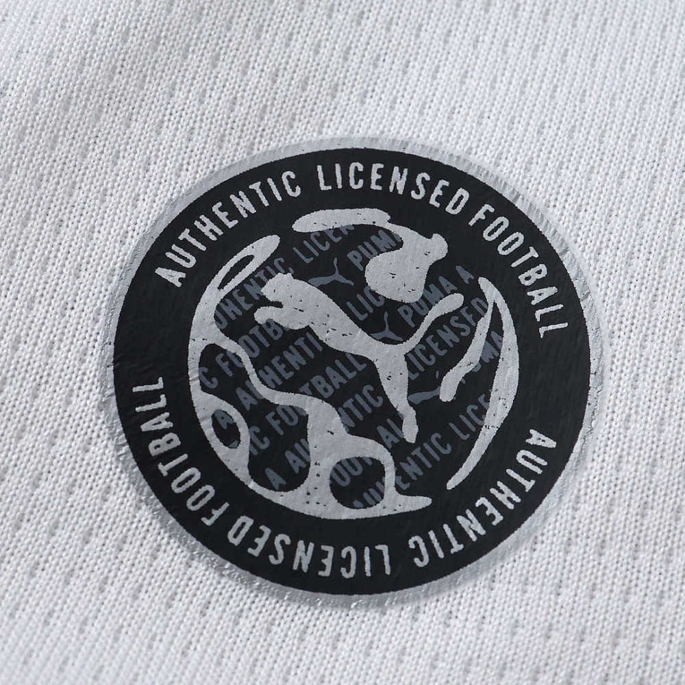 2627 season Eindhoven football club PSV away Fan version