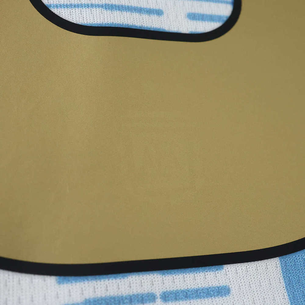 2627 Argentina Concept version Fan version