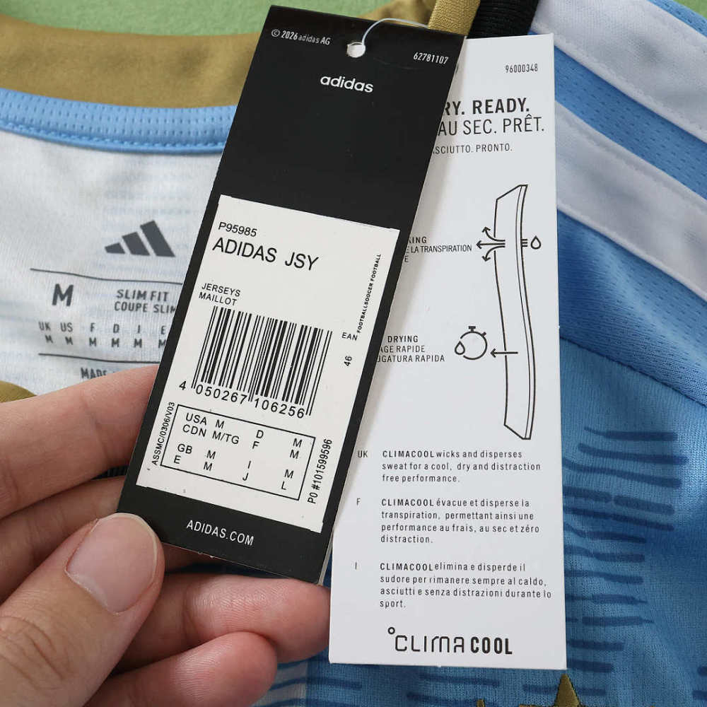 2627 Argentina Concept version Fan version