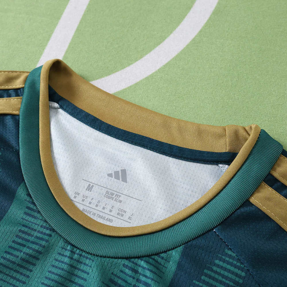 2026 Argentina Concept version Fan version