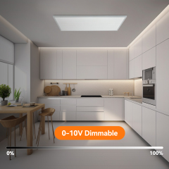 Bulk 2x4 Surface Mount LED Panel Light Manufacturer