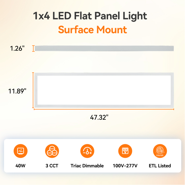 1x4 Surface Mount LED Panel Light Manufacturer | OEM