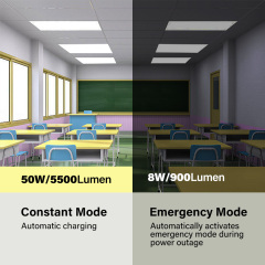 2x4 LED Flat Panel with Emergency Driver | OEM Manufacturer